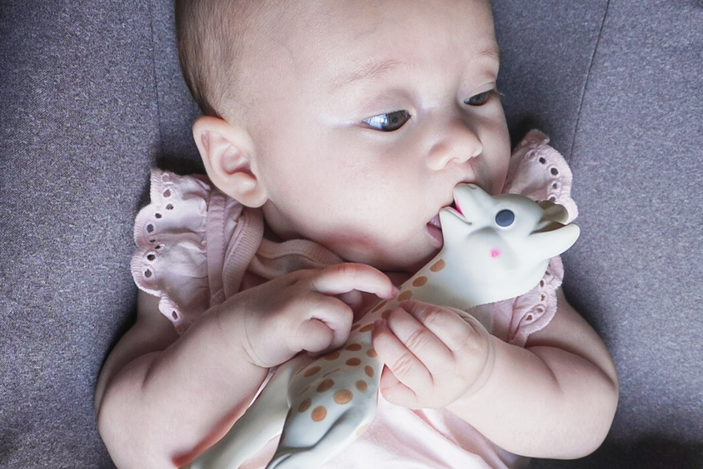 Baby Teethers: Why They’re Essential and How to Choose the Right Material